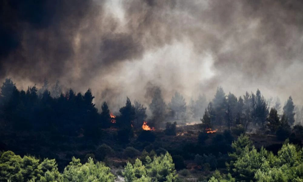 Πόσο επικίνδυνος είναι ο καπνός από τις φωτιές; - Τι προκαλεί στους πνεύμονες και το ανοσοποιητικό